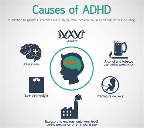 What Causes The Onset Of Adhd